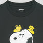Peanuts_Snoopy and Woodstocks Friends 2