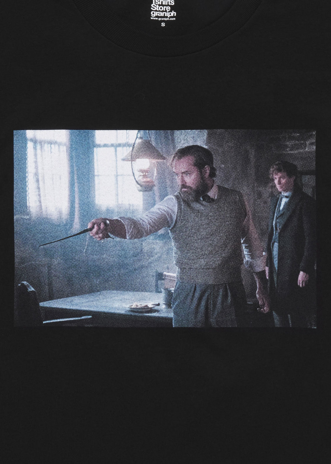 Fantastic Beasts_Dumbledore and Newt