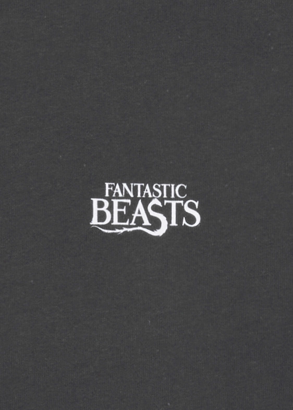 Fantastic Beasts_Obscurus