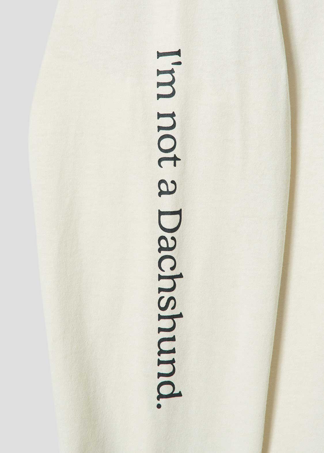 [image:design]