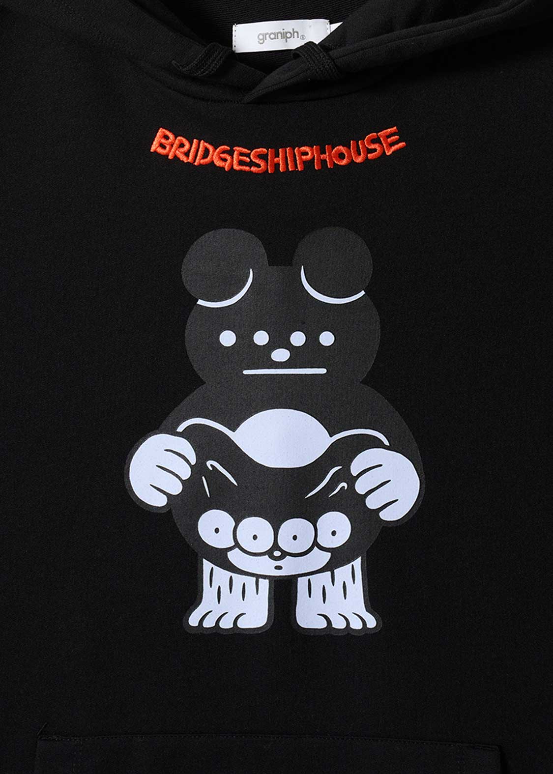 Bridgeship House Fusion | Big Shorts Pk