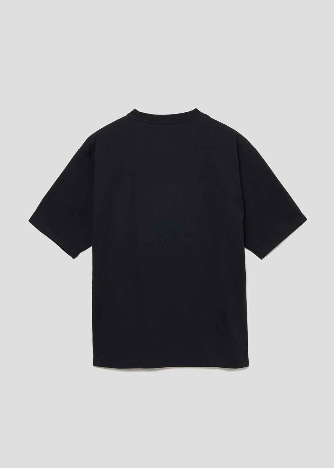 Big Silhouette Half Sleeve Tee (Lucharyman Mask 01)