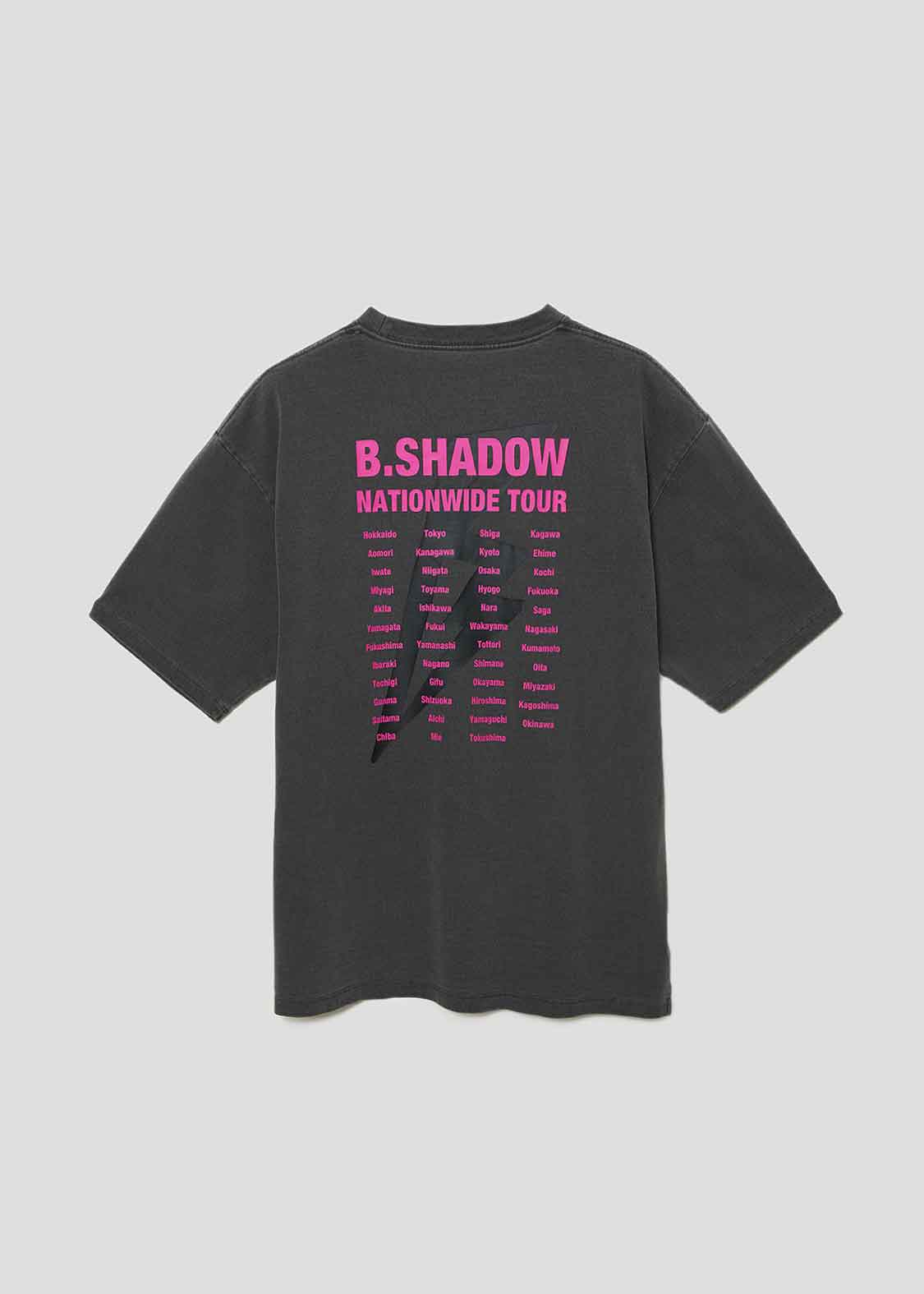 Pigment Big Silhouette Half Sleeve Tee (Beautiful Shadow Zoom Spark)