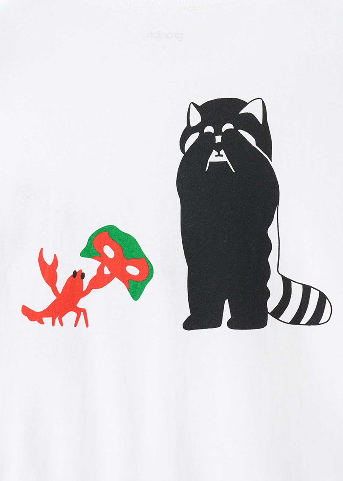 Ikaku Lucha | Big Pocket T