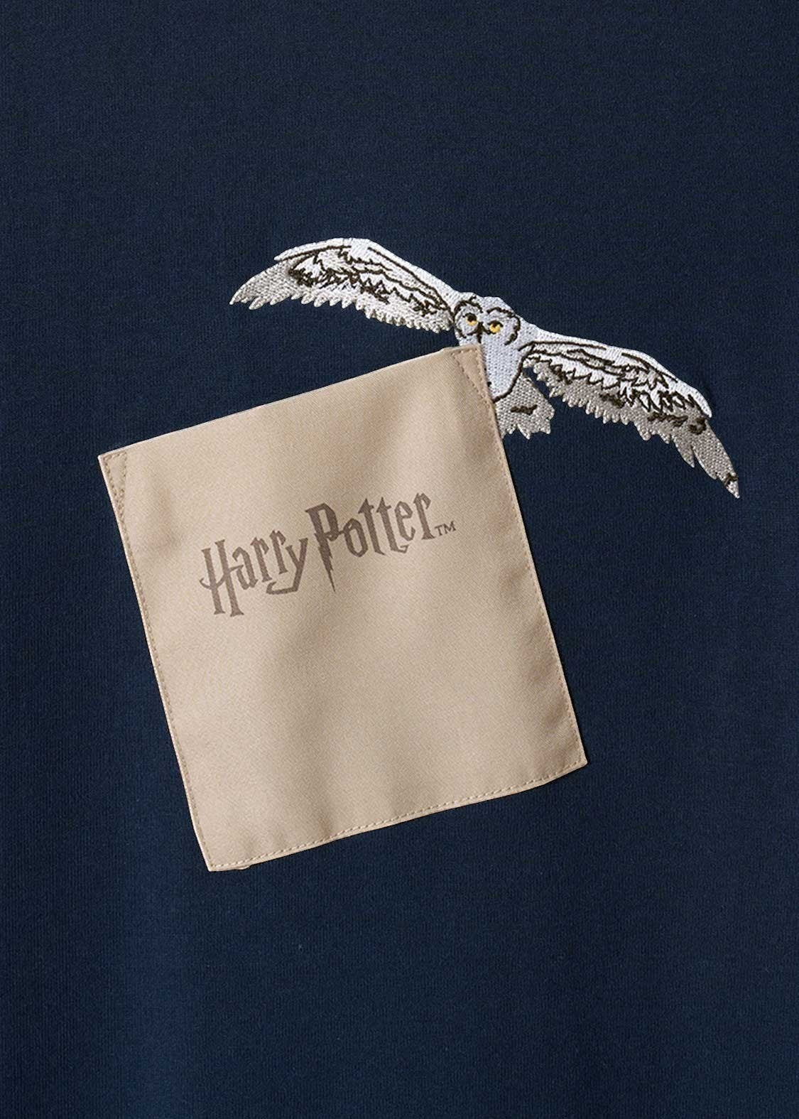 Harry Potter Magical Creatures | Big T