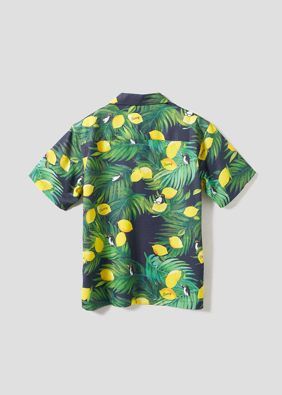 City Boy Penguin | Open Collar Aloha Shirt