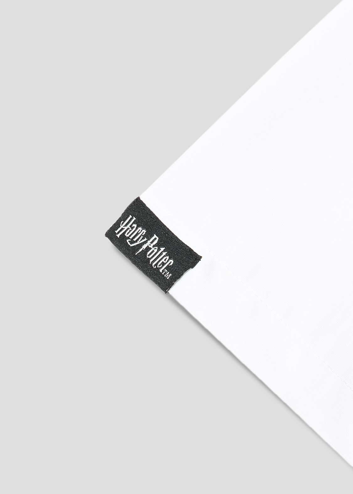 [image:design]