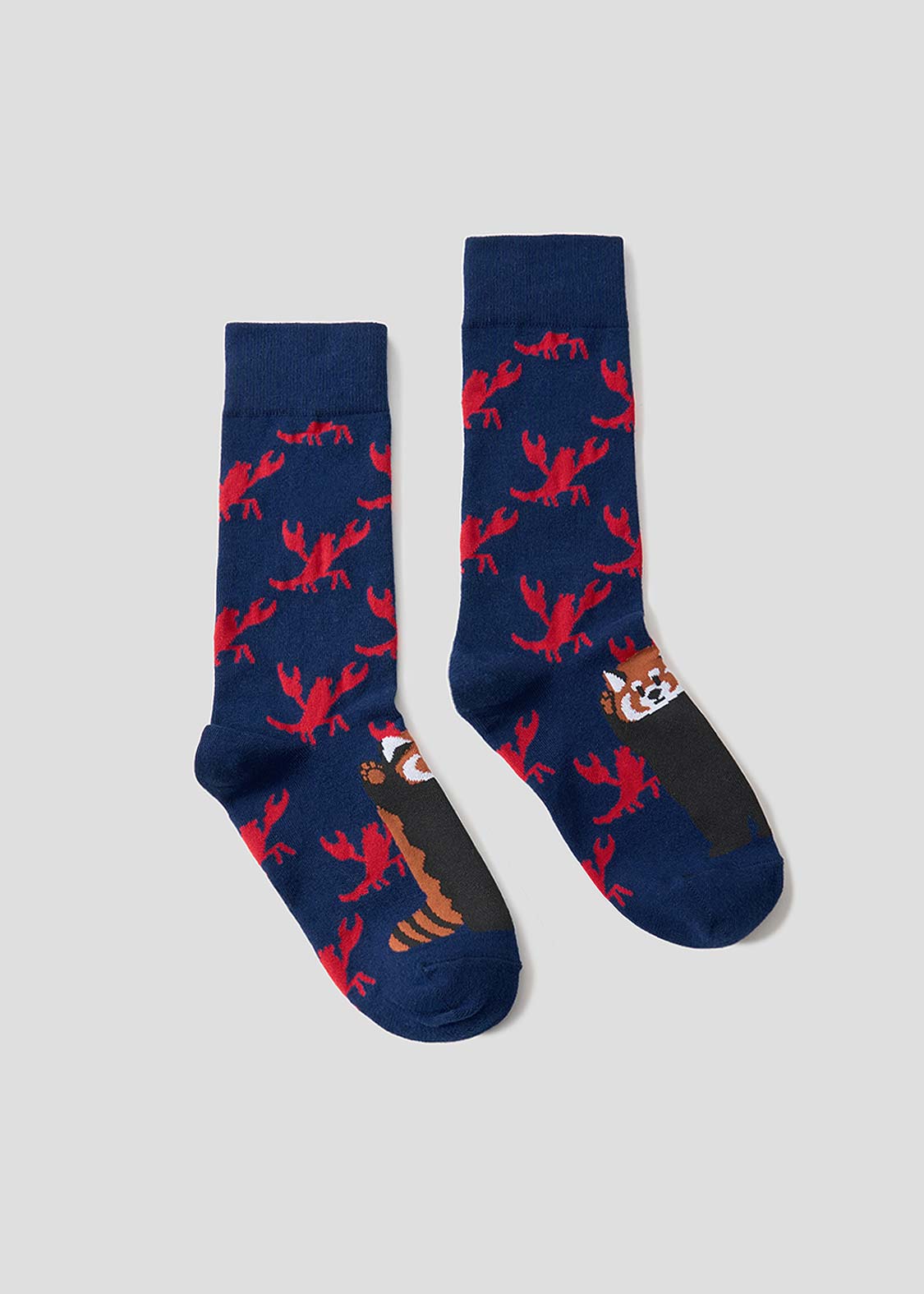 Ikaku 6 | Long Socks