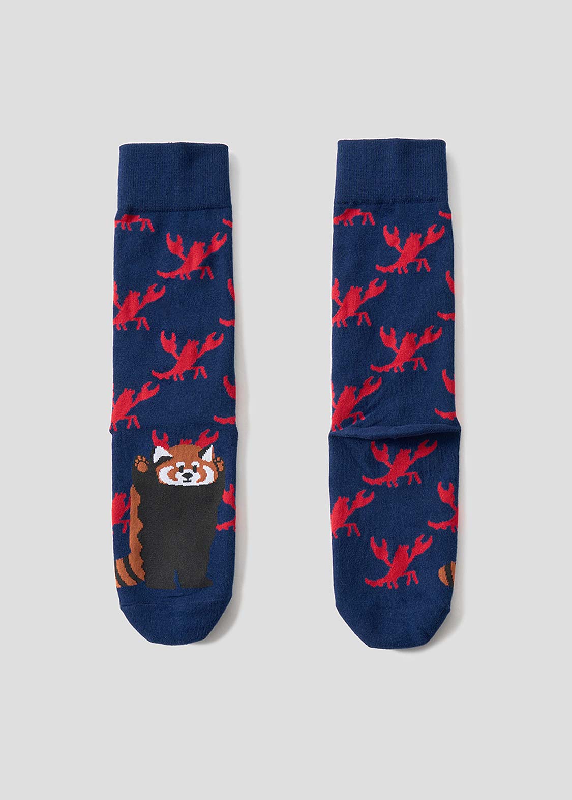 Ikaku 6 | Long Socks
