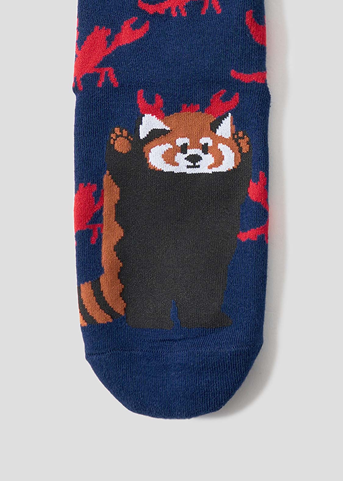 Ikaku 6 | Long Socks