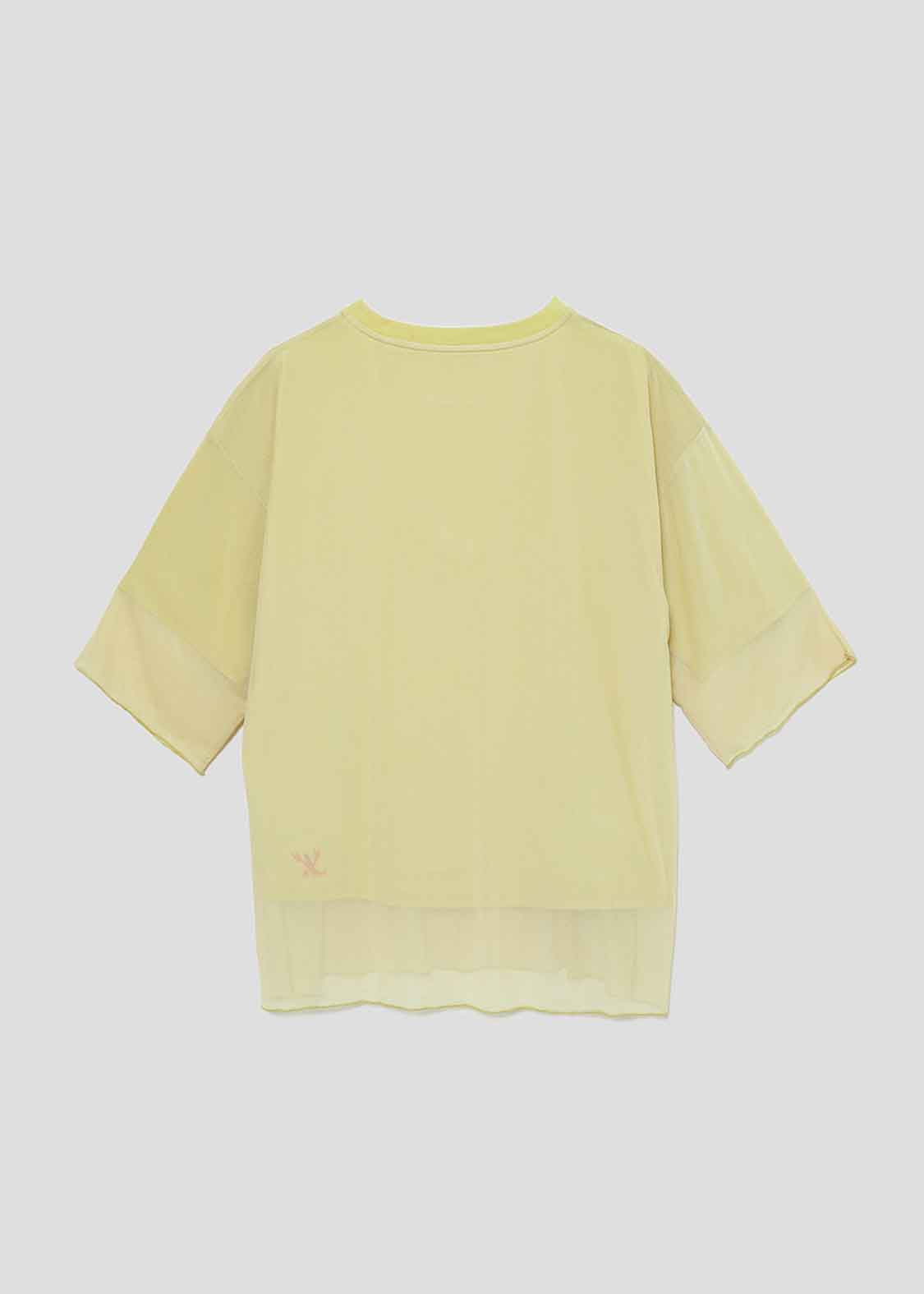 Sheer Layered Short Sleeve Tee (Ikaku a-boo)