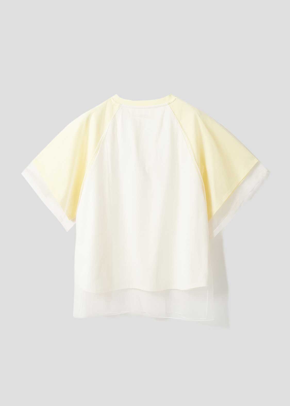 Sheer Layered Raglan Sleeve Tee (School of Chop)