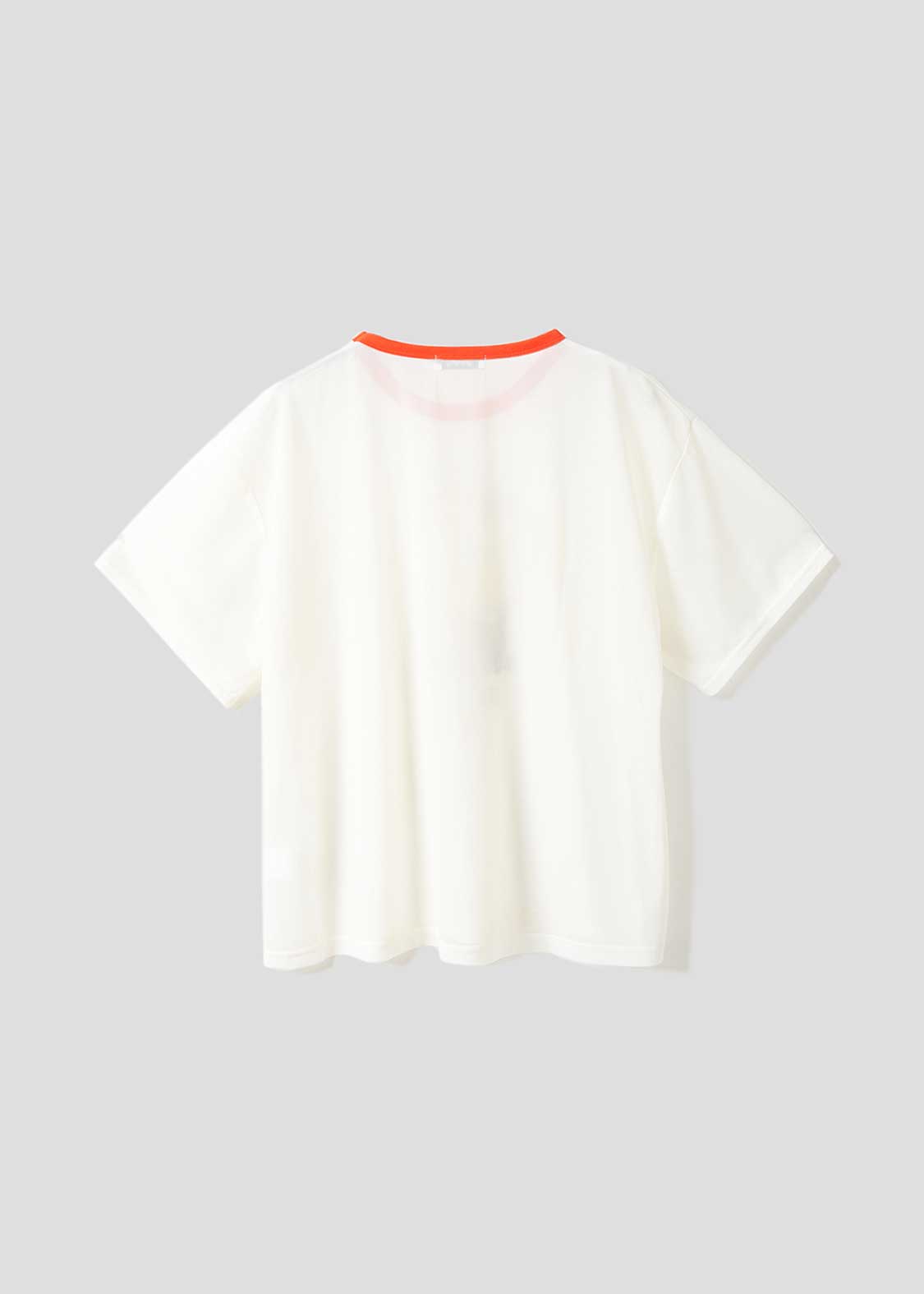 Half Sleeve Sheer Tee (Ikaku Power)