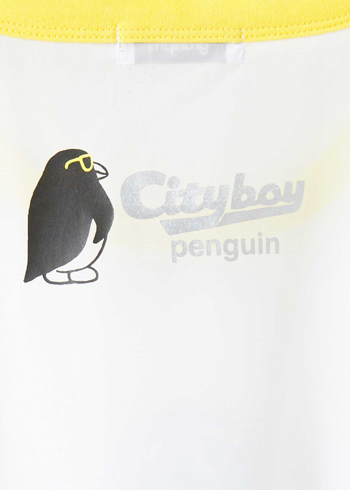 Half Sleeve Sheer Tee (City boy Penguin)