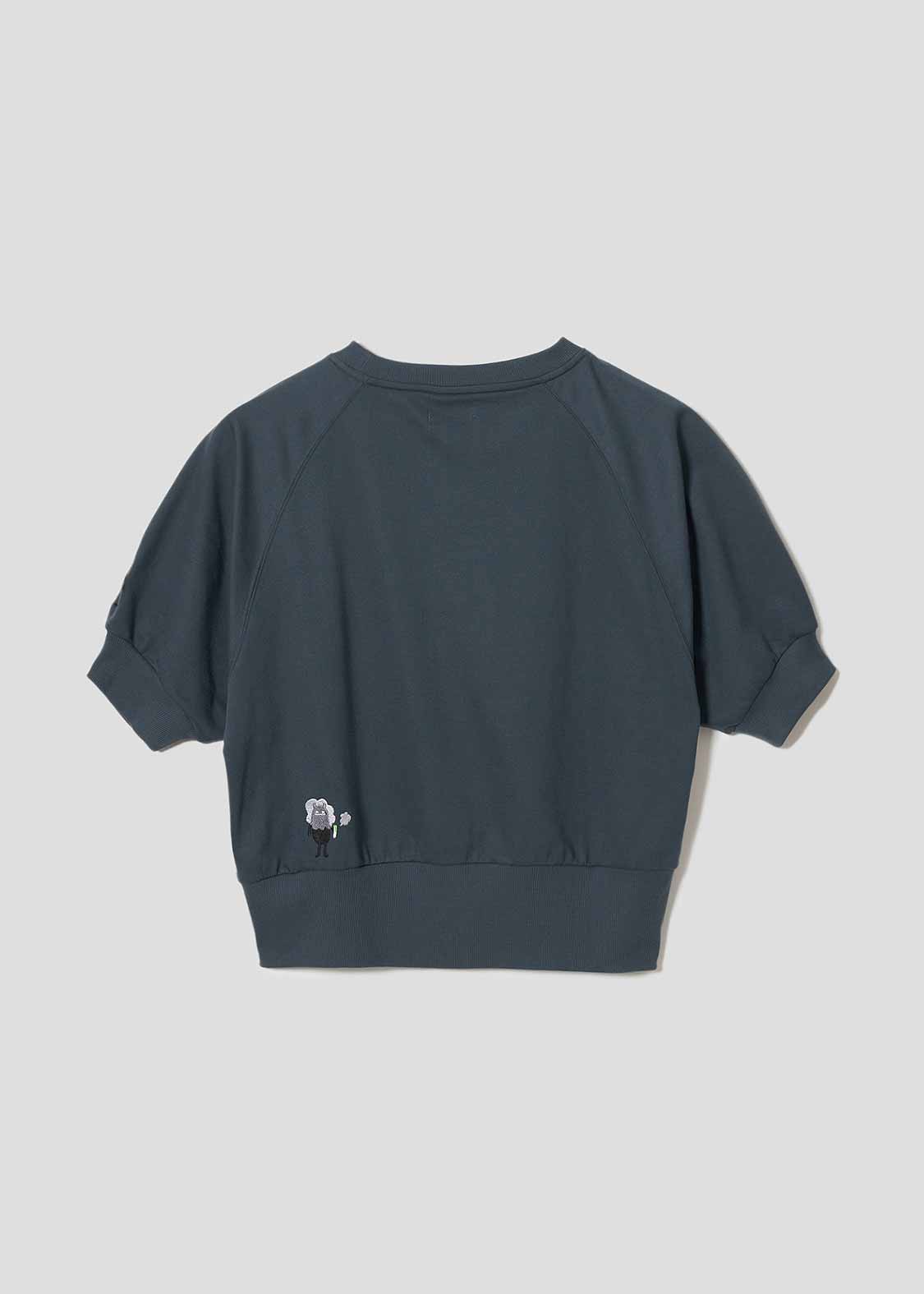 Cropped Raglan Short Sleeve Sweat (Beautiful Shadow Creature)