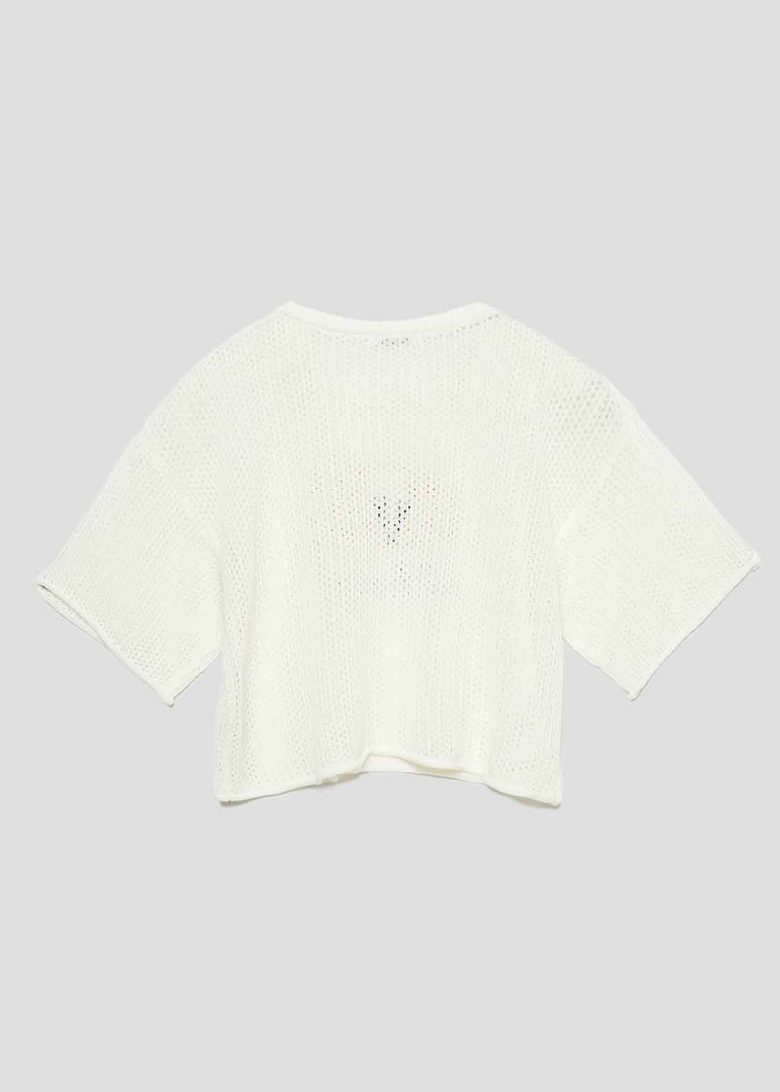 Washable Mesh Half Sleeve Knit Tee (Ikaku)