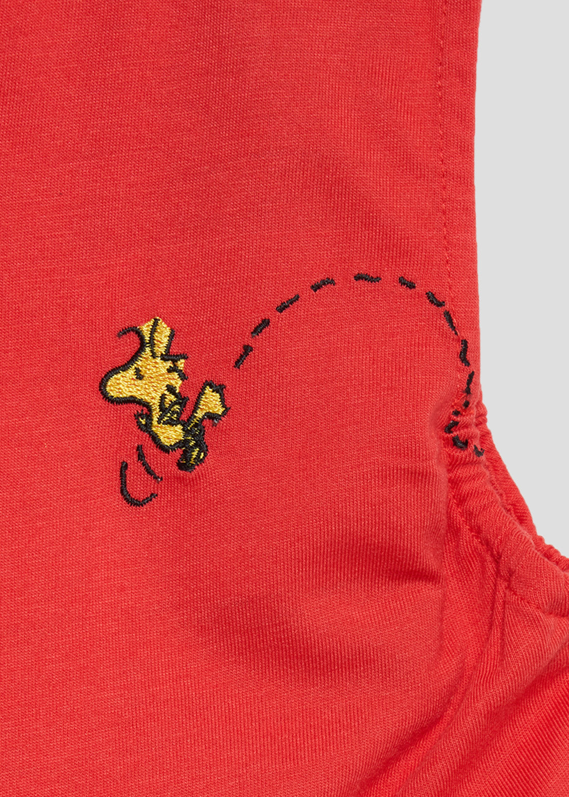 Peanuts Tiered Sleeveless One-Piece (Peanuts_Snoopy Siblings 2) - Kids