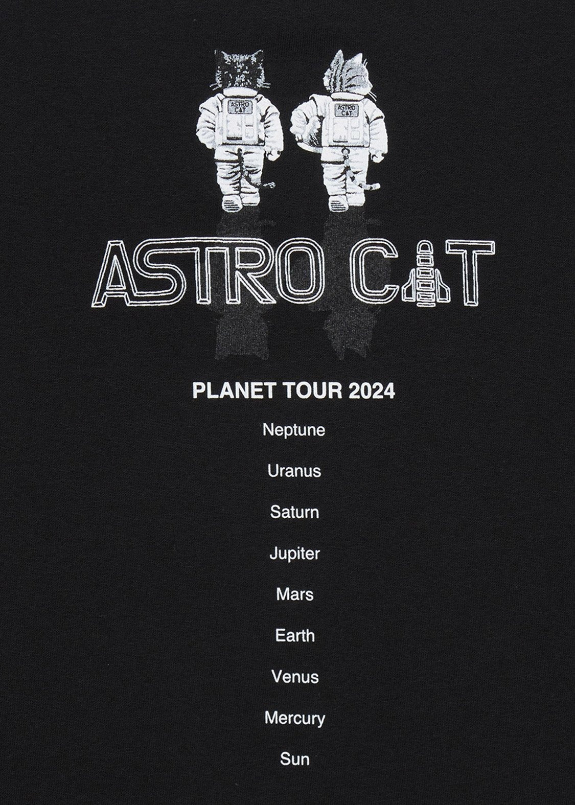 ASTRO CAT PUNK