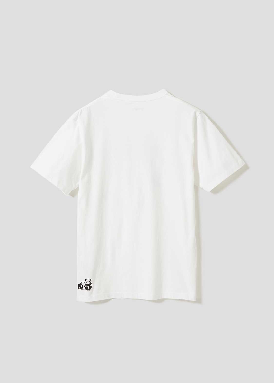 Rolling Pandas Bamboo