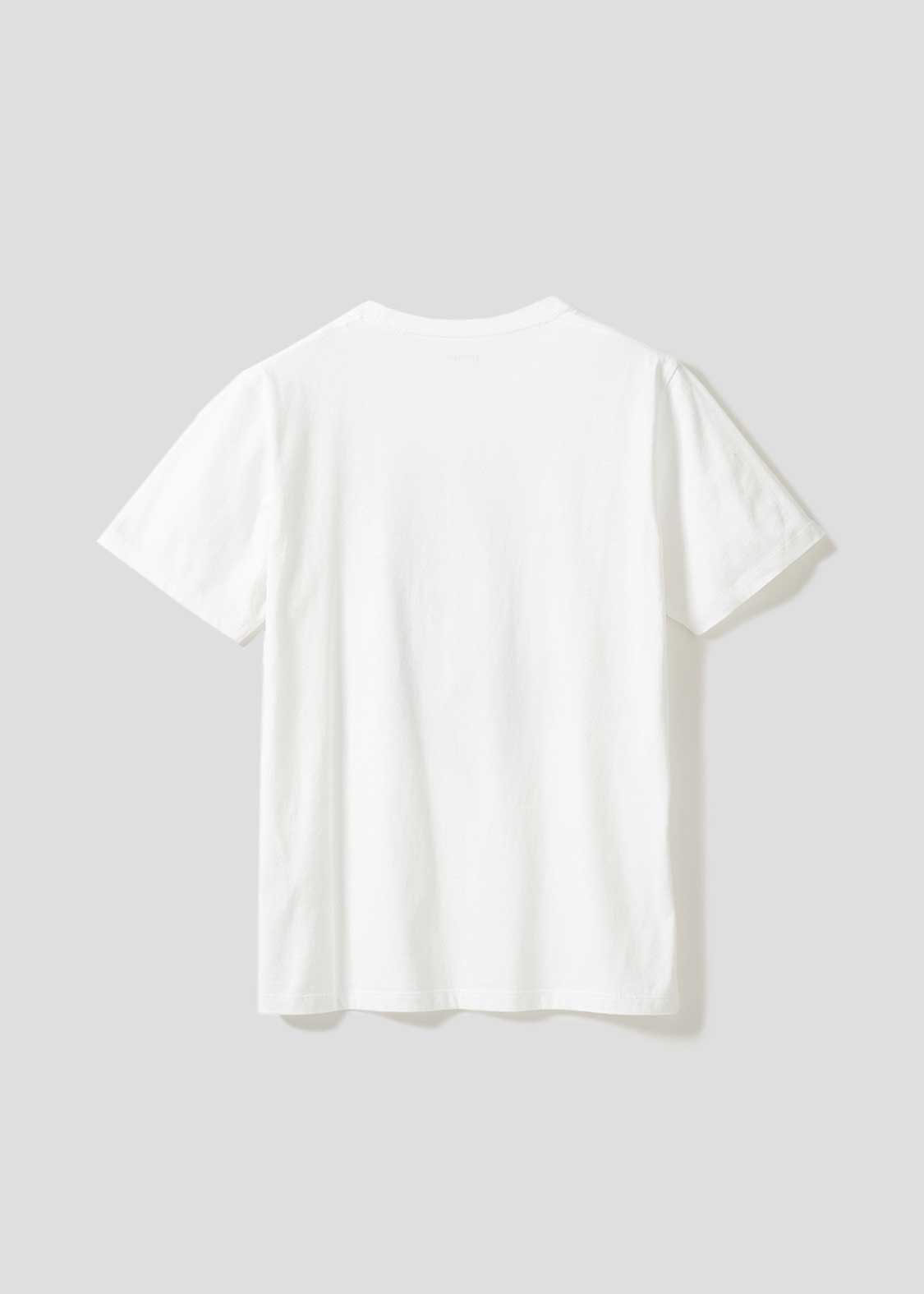 LambChop katakana