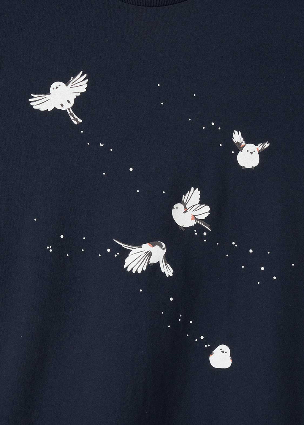 [image:design]