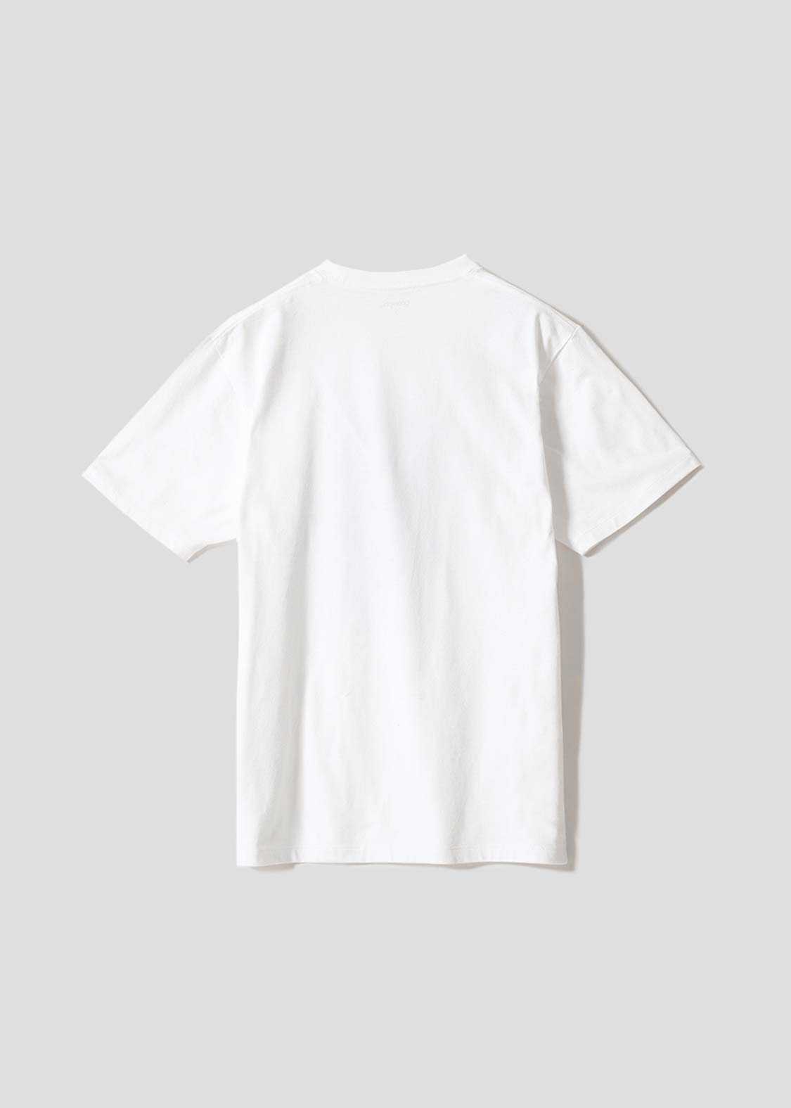 Beautiful Shadow Sakura Bloom | T-Shirt