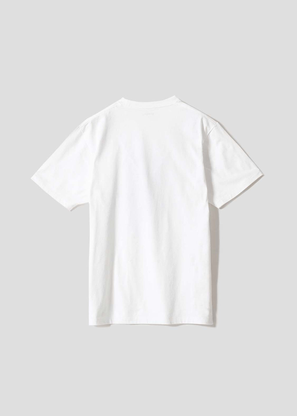 Beautiful Shadow Sakura Bloom | T-Shirt