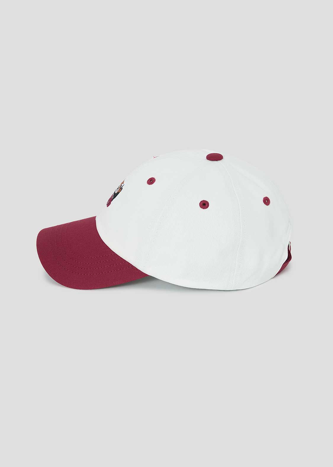 Ikaku | 2-Tone Cap