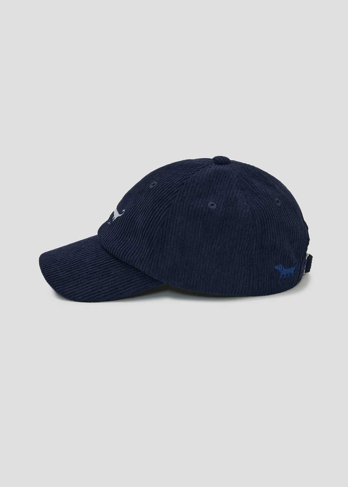Nagasugiru Inu 2 | Corduroy Cap
