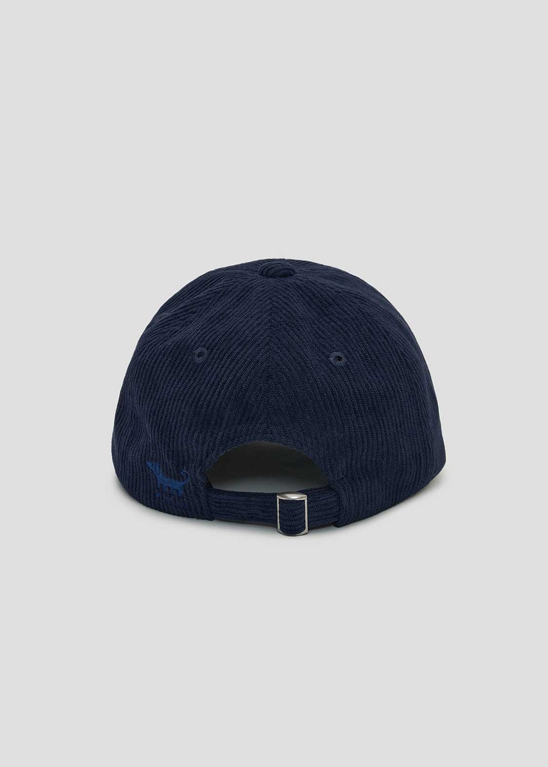 Nagasugiru Inu 2 | Corduroy Cap