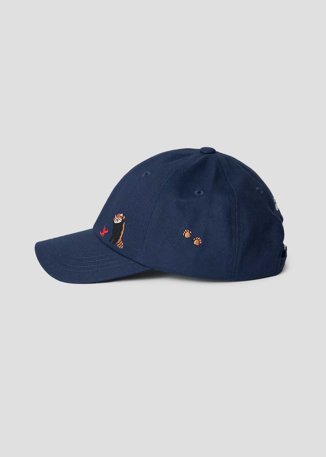 Ikaku B | Cap