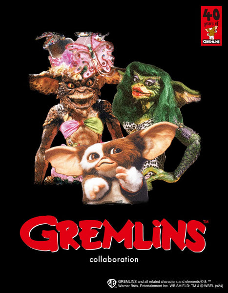 Gremlins is a 1984 American comedy horror film directed by Joe Dante and released by Warner Bros.[ssorder:-20240729]