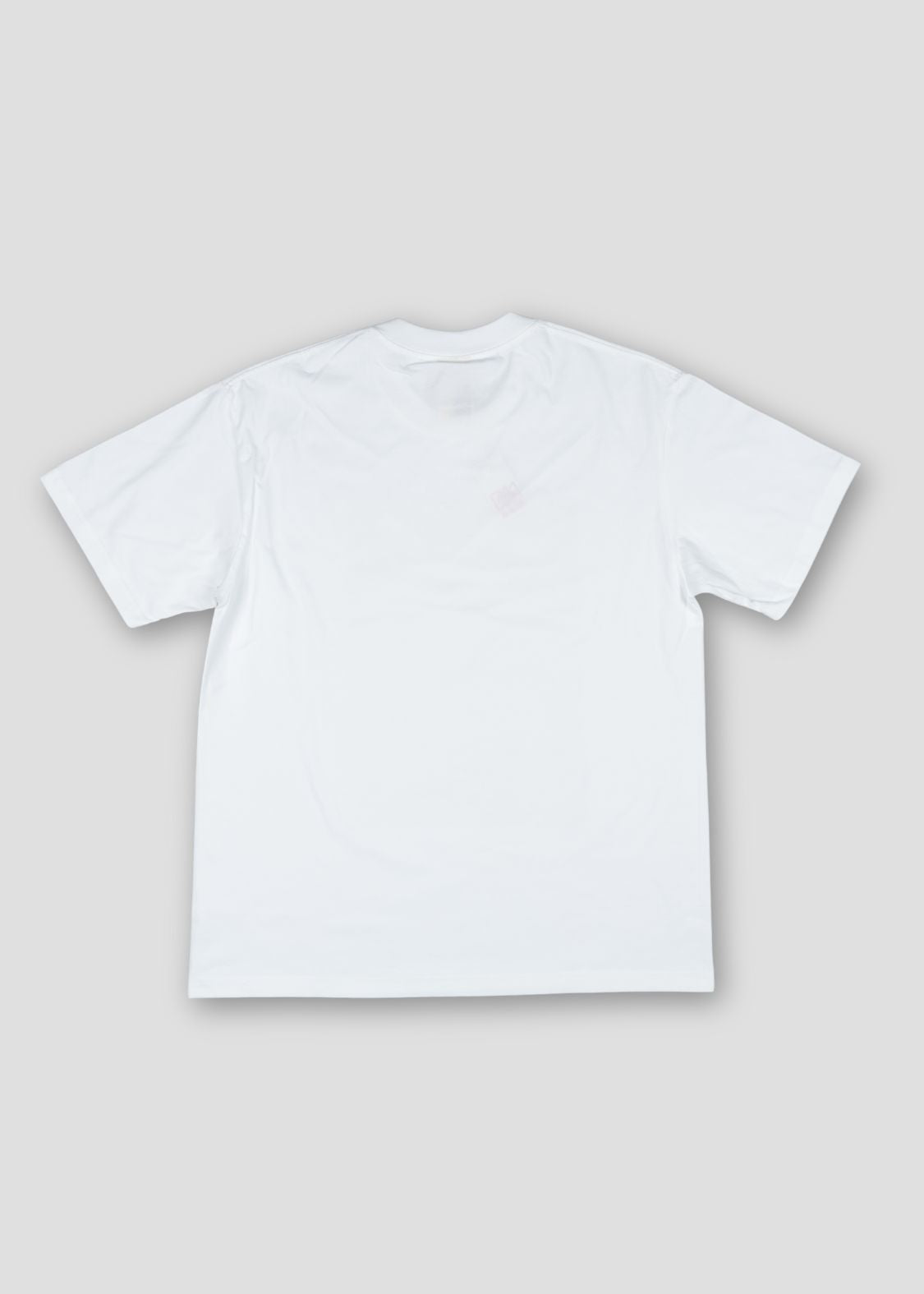 Haruyo Higashi - Car Rides | T-Shirt