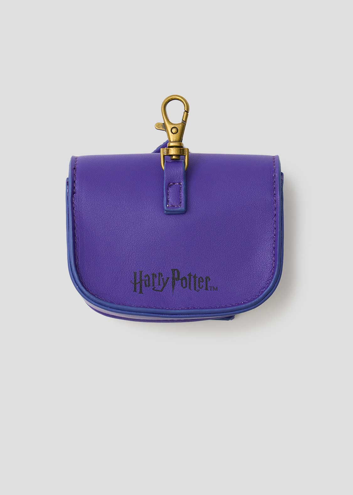 Harry Potter Chocolate Frog | Custom Pouch