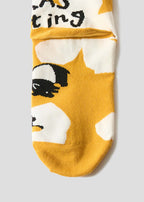Rolling Pandas Painting | Middle Socks