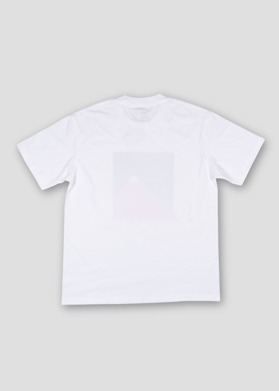 ten_do_ten - Mt Fuji | T-Shirt