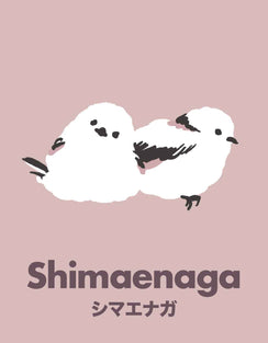 Shimaenaga