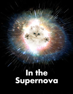 In the Supernova