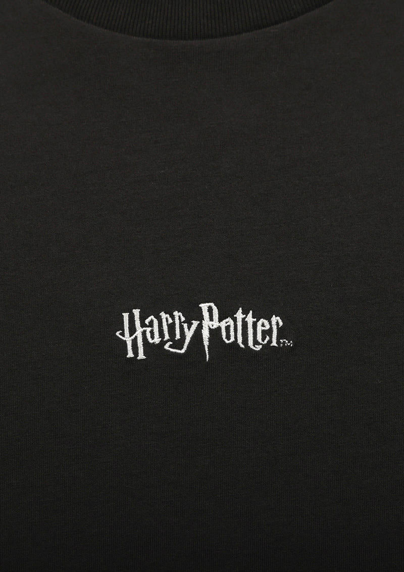 Harry Potter Long Sleeve Tee (Harry Potter_Harry and Ron and Hermione)