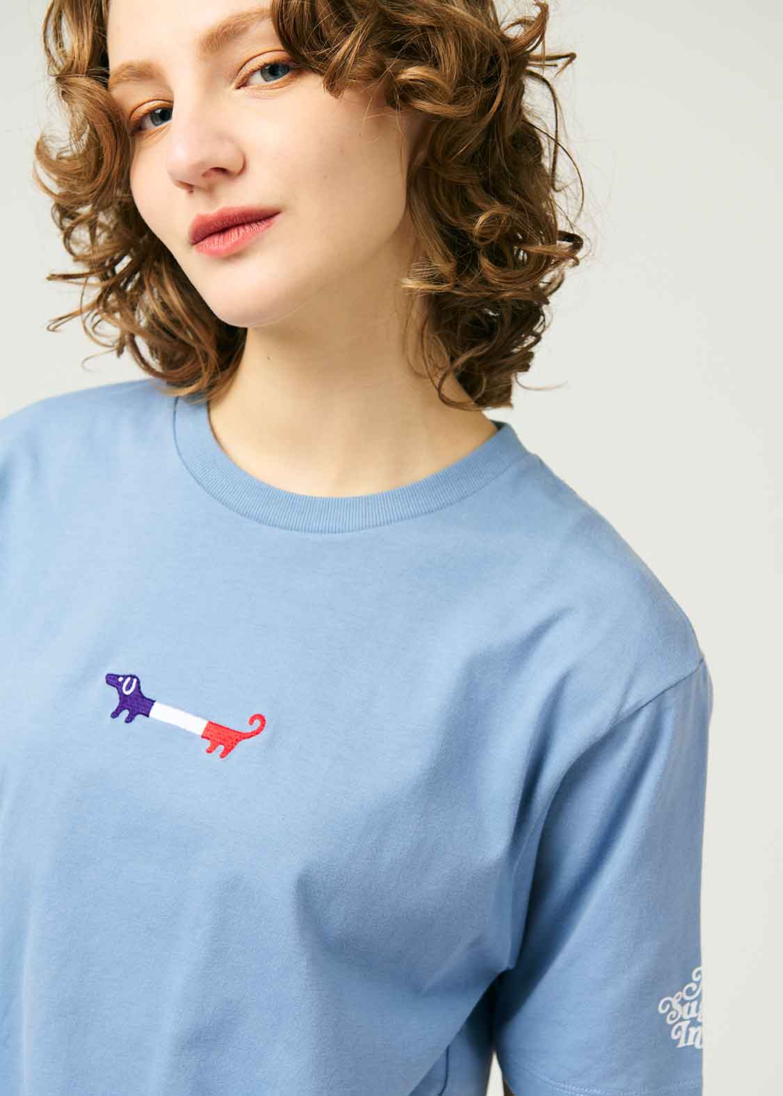 Regular Fit Short Sleeve Tee (Nagasugiru Inu Bonjour France)